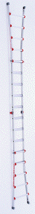 Extension Ladder