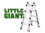 Little Giant Ladder