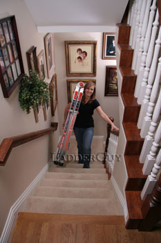 Carry Ladder