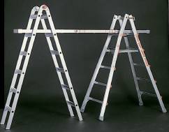 Little Giant Ladder